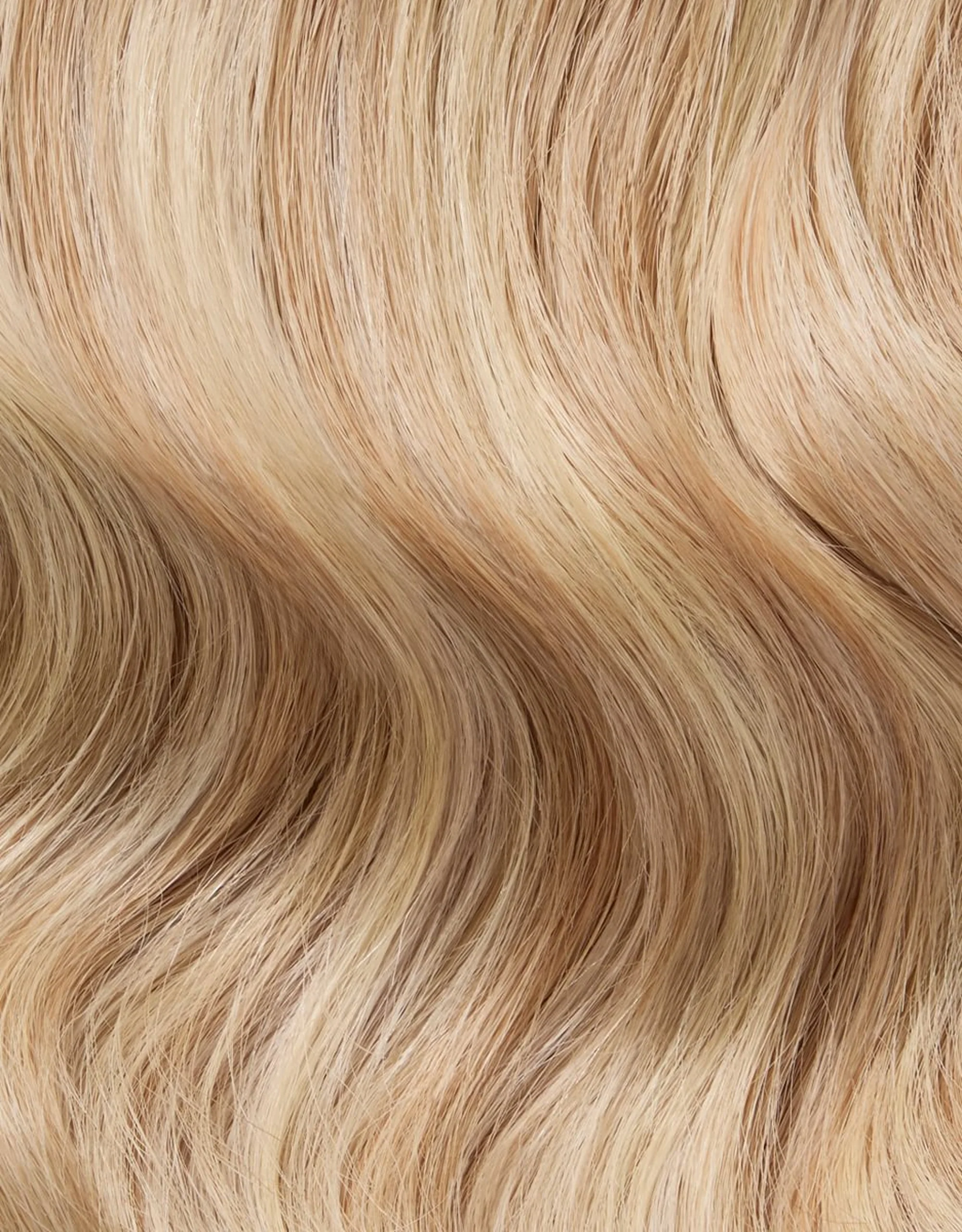 Chantilly Cream Blend