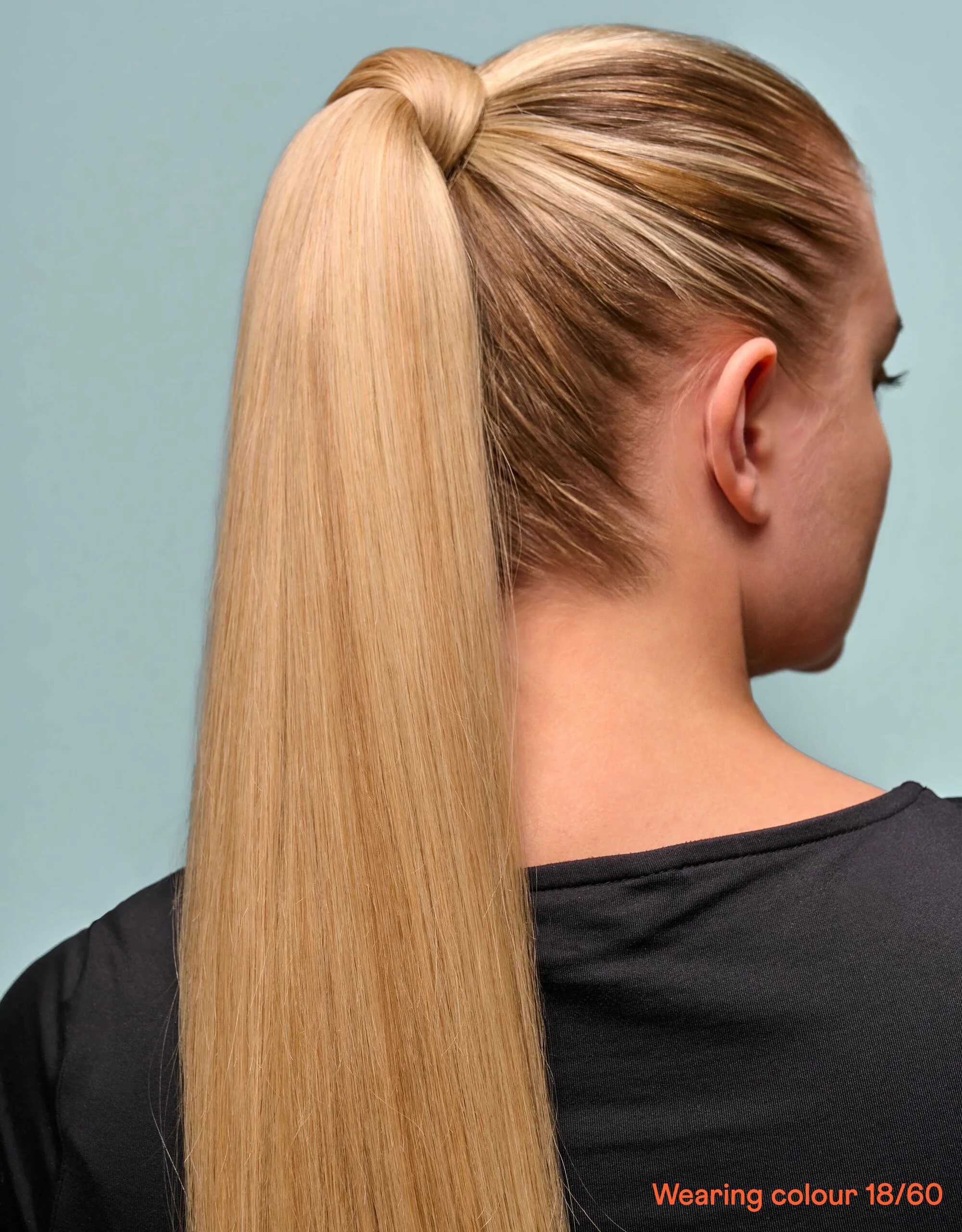 Human Hair Ponytail - Image 137
